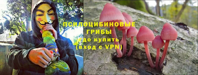 MEGA рабочий сайт  Бирюсинск  Галлюциногенные грибы Psilocybine cubensis  закладка 